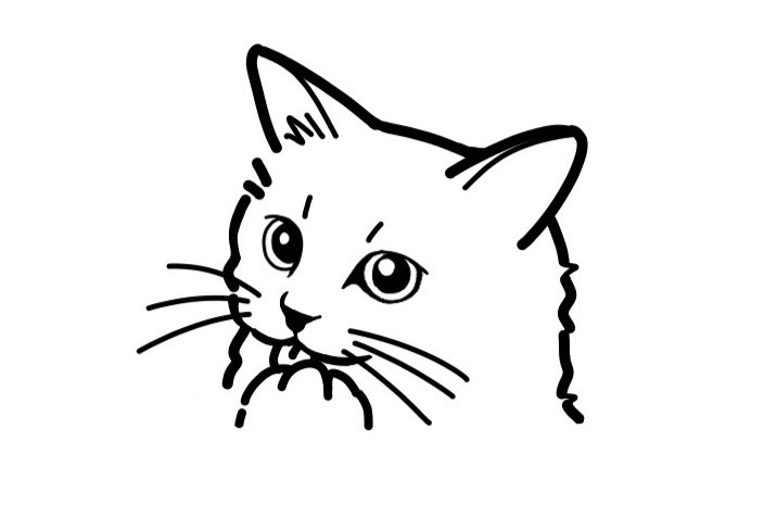猫好きにはたまらない！のサムネイル
