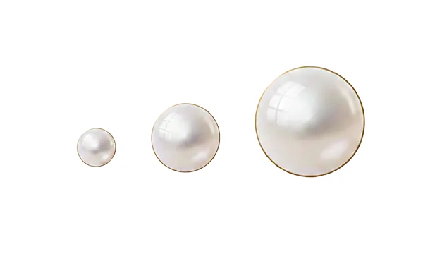 アコヤパール 巻き